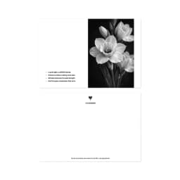 참엠엠 엽서