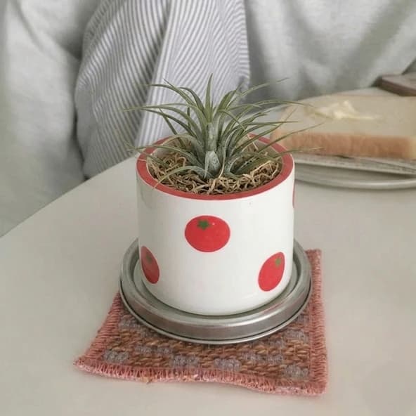 무화과팟 mini pot series - 3 types