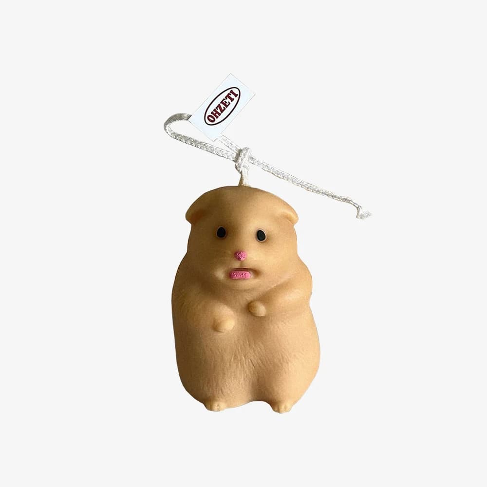 햄들짝 캔들